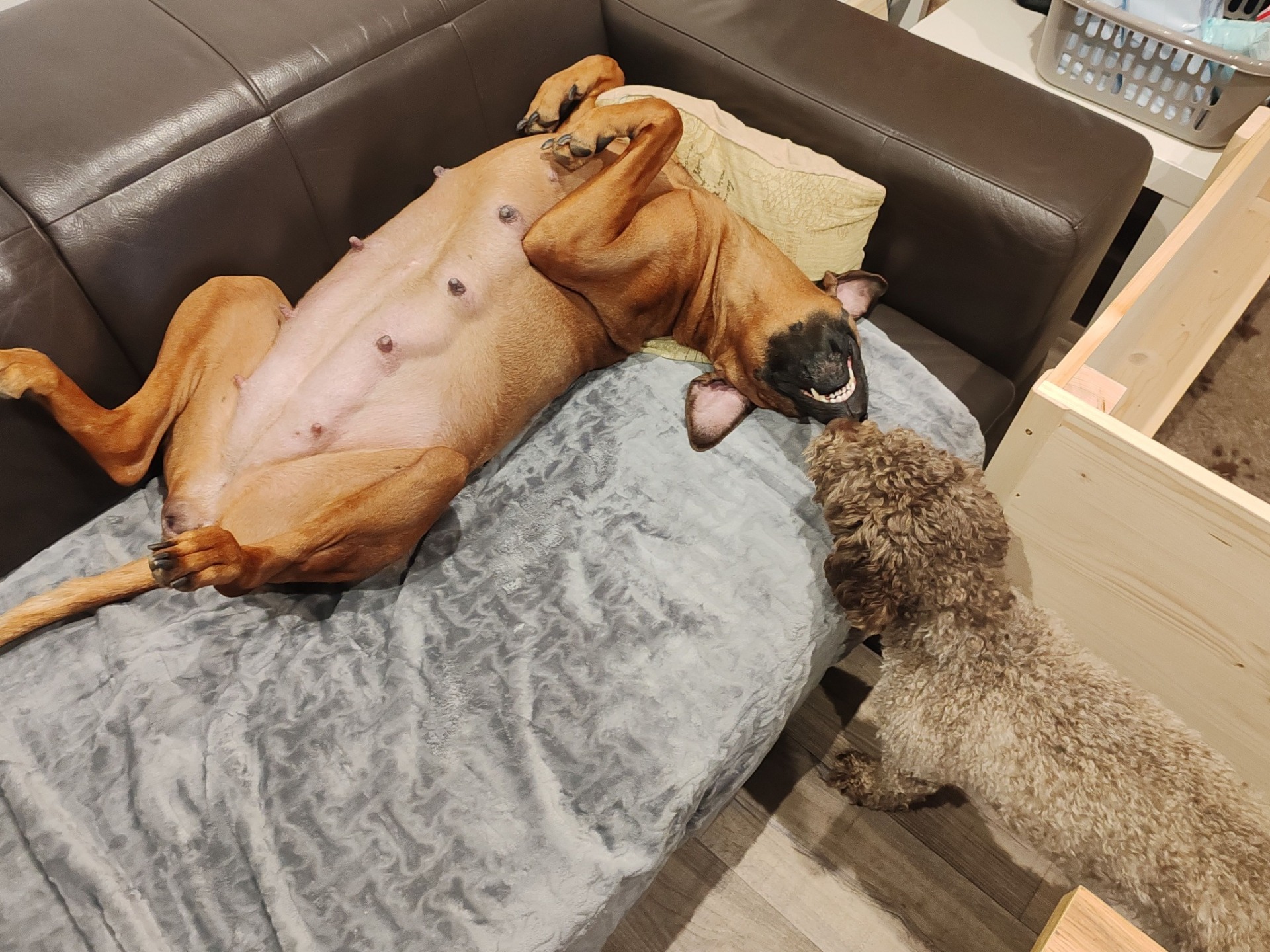 Pohodinda "vše povoleno"